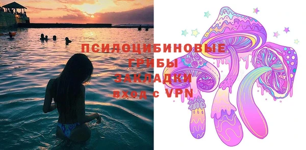 сатива Богородск