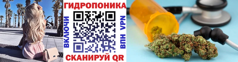 blacksprut онион  наркотики  Киселёвск  Бошки марихуана Amnesia 